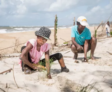 Two people sit in sand dunes along the coast and plant native grasses.